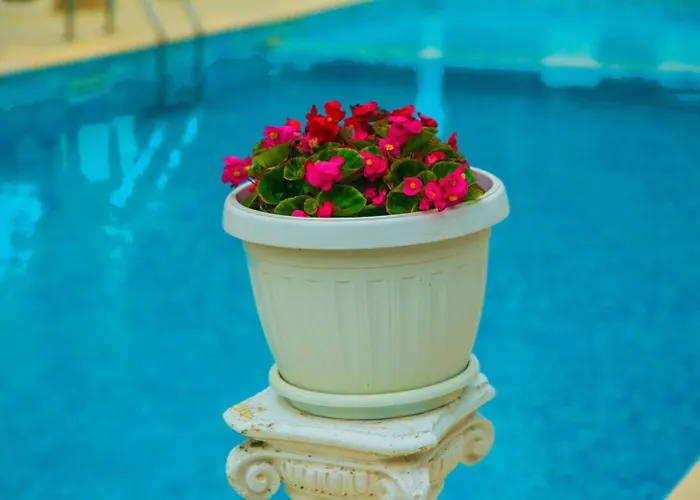 Daire студио до плажа влас Sveti Vlas