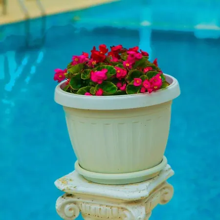 Apartment студио до плажа влас Sveti Vlas